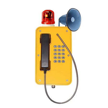 WHS101FK.BH-2G всепогодный 2G-телефон Termit PublicPhone с фонарем и рупором