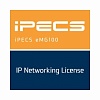 Ericsson-LG eMG100-IPCRT записи разговора 1 соединительная линия