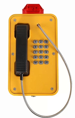 WHS201FK.B-IP Всепогодный IP-телефон с фонарем Termit PublicPhone